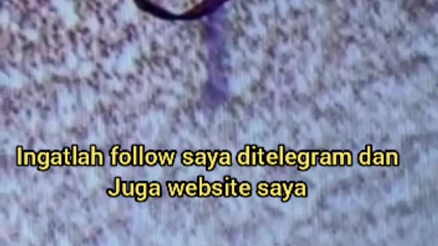 Parasit dalam darah orang belum vaksin tertular dr pasangan oleh dr.Lewis (Maaf salah edit pd terjemahan awal, kurang kata belum Vaksin)