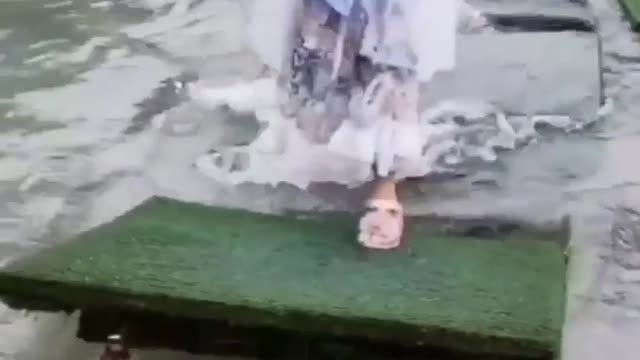 Toddler has priceless reaction