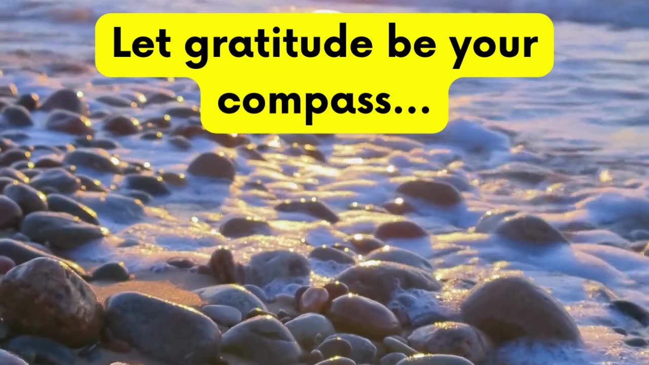 Why Gratitude is important #shorts #BelieveAndAchieve #Resilience #InnerStrength