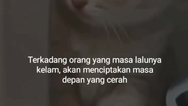 Contohnya gw🤭😅 📌 Jangan lupa tinggalkan komen dan saran di akhir video