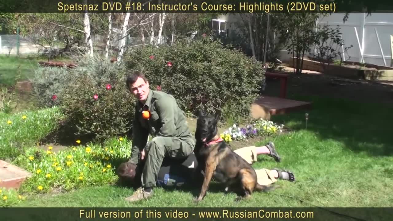 How to Self Defence a Dog Attack