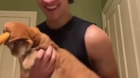 Boy and funny Cate