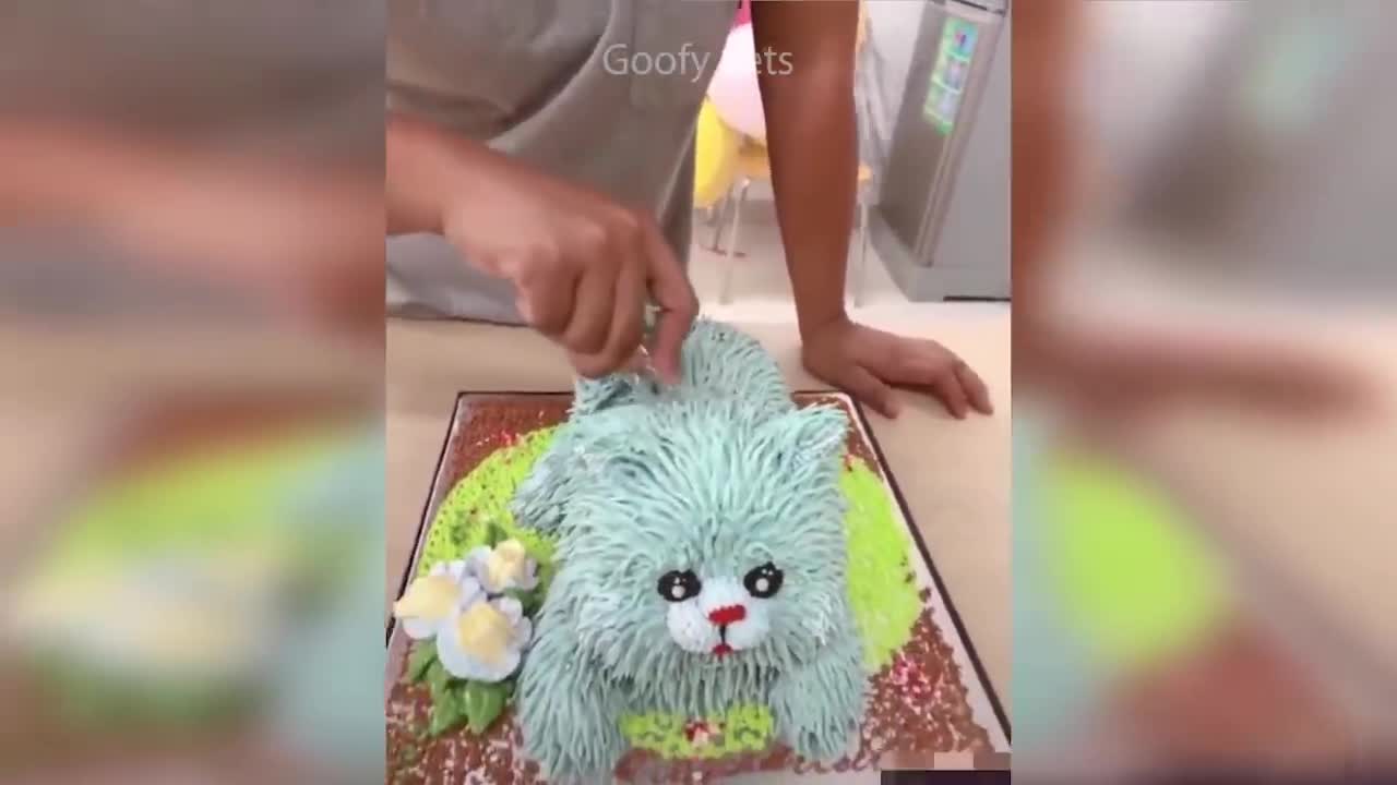 Look at that reactions of cat and dog while cutting a cake