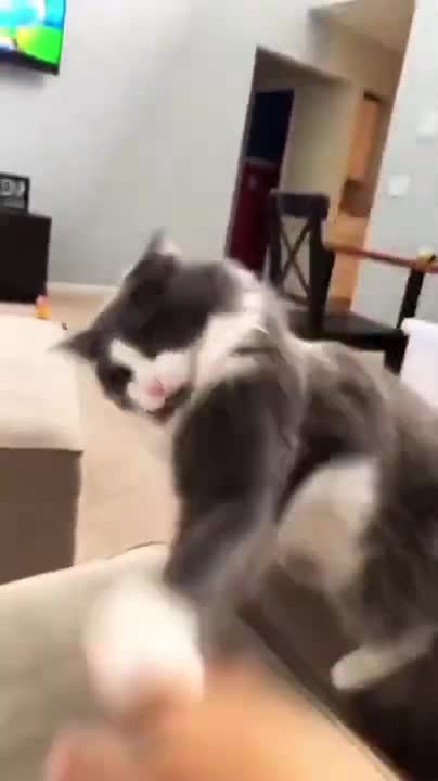 Golden Retriever takes care of children like a nanny😚Child comforting sad dog🥰