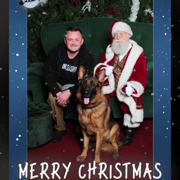 We Took a German Shepherd to Get Pictures With Santa