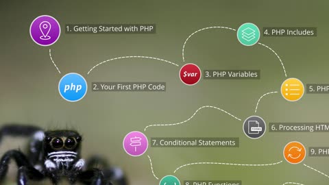 PHP_PRO_ch1-l2-beginners-php-02-programming-concepts (720p)