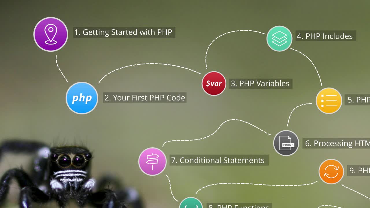 PHP_PRO_ch1-l2-beginners-php-02-programming-concepts (720p)