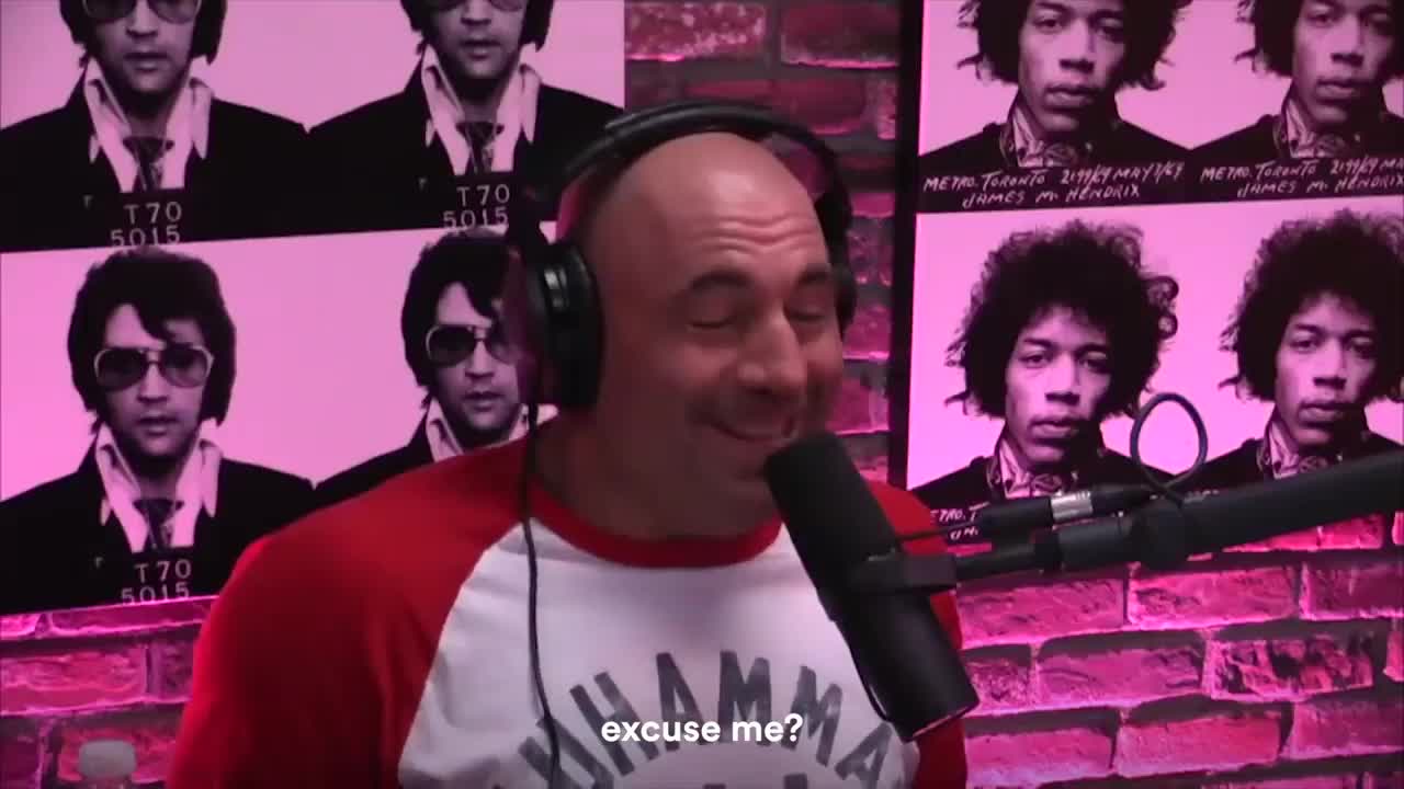 Joe Rogan Podcast Stream