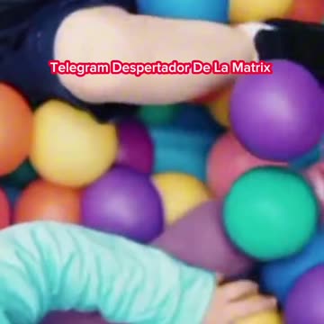 ALIMENTOS Y LA HOMOSEXUALIDAD