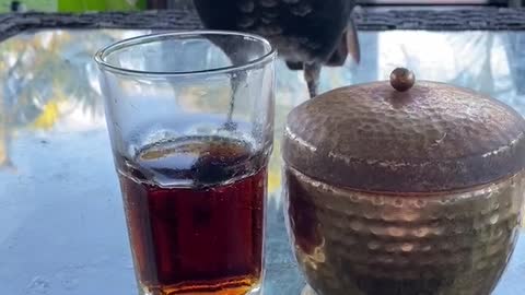 Bird Wants the Bourbon