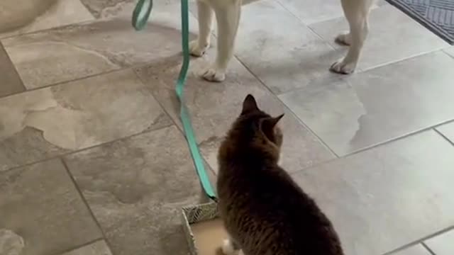 Funny moment look what's going on