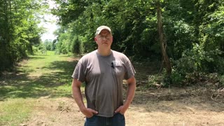Tractor Talk and other stuff
