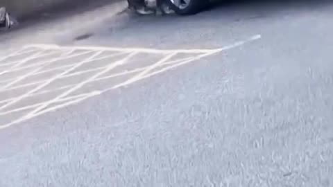 Pokémon heist