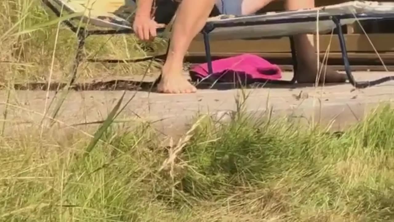 The end 😂😂😂 #funny #fails #shorts #reels #viral #fail