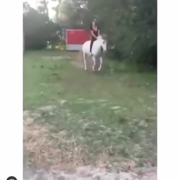 food was the only thing on its mind Funny