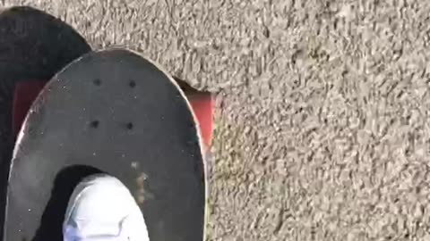 Morning Skateboarding | XXIV