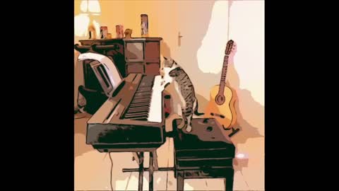 cat playing piano | cat funny video | cat cartoon video | cat | cat video