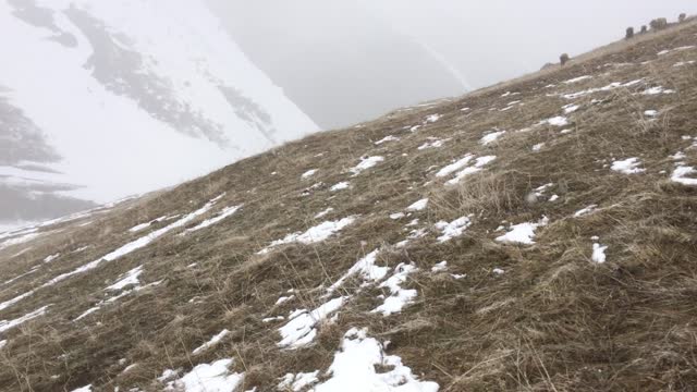 YAYLADA KAR MANZARASI