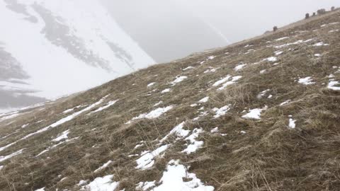 YAYLADA KAR MANZARASI