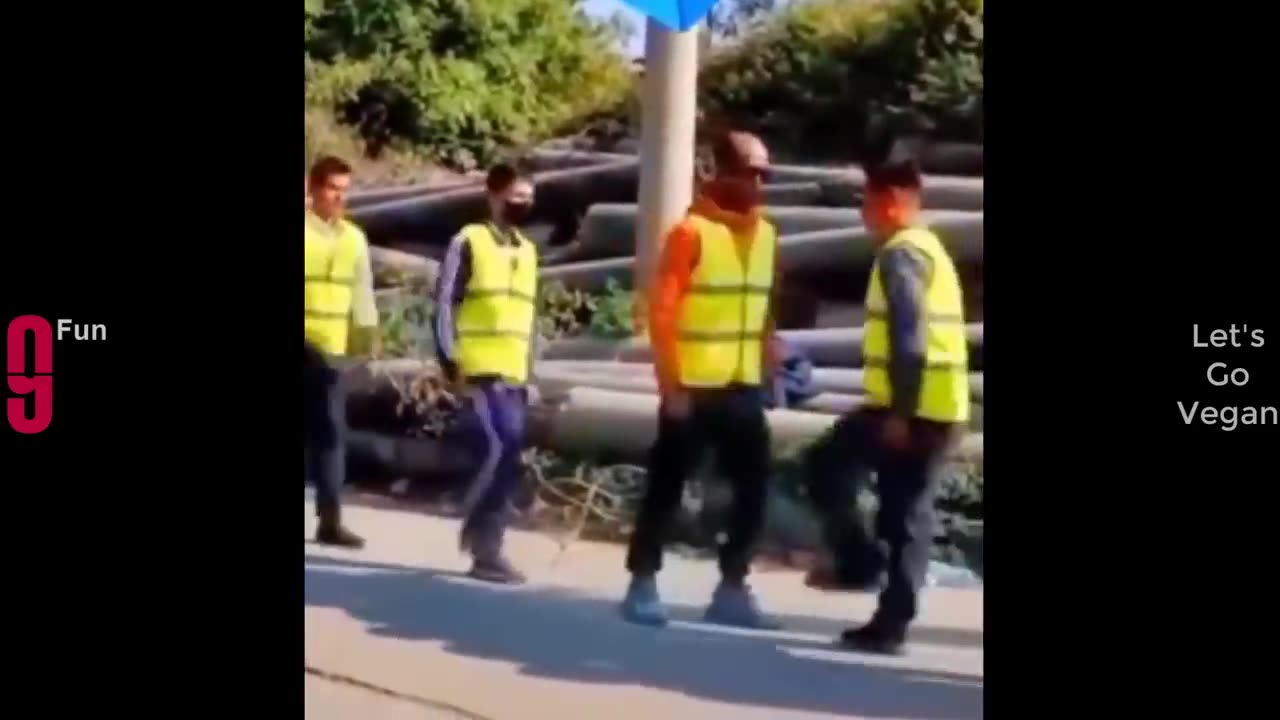 Try not to laugh #funny #viral #funniest