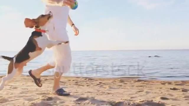 Cute dog jumping with owner training video