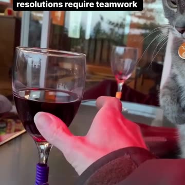 When the cat gets involved you know you have a problem