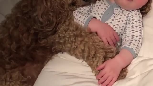 worlds cute puppy and baby sleeping together