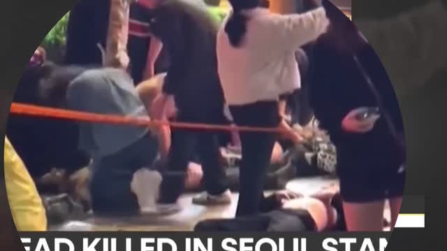 더바코 고무줄 허벅지녀 씨쥐cg (1080p)