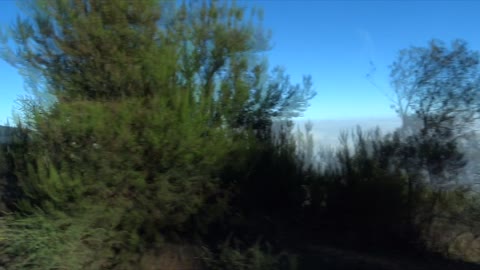 BUS RIDE ABOVE THE CLOUDS