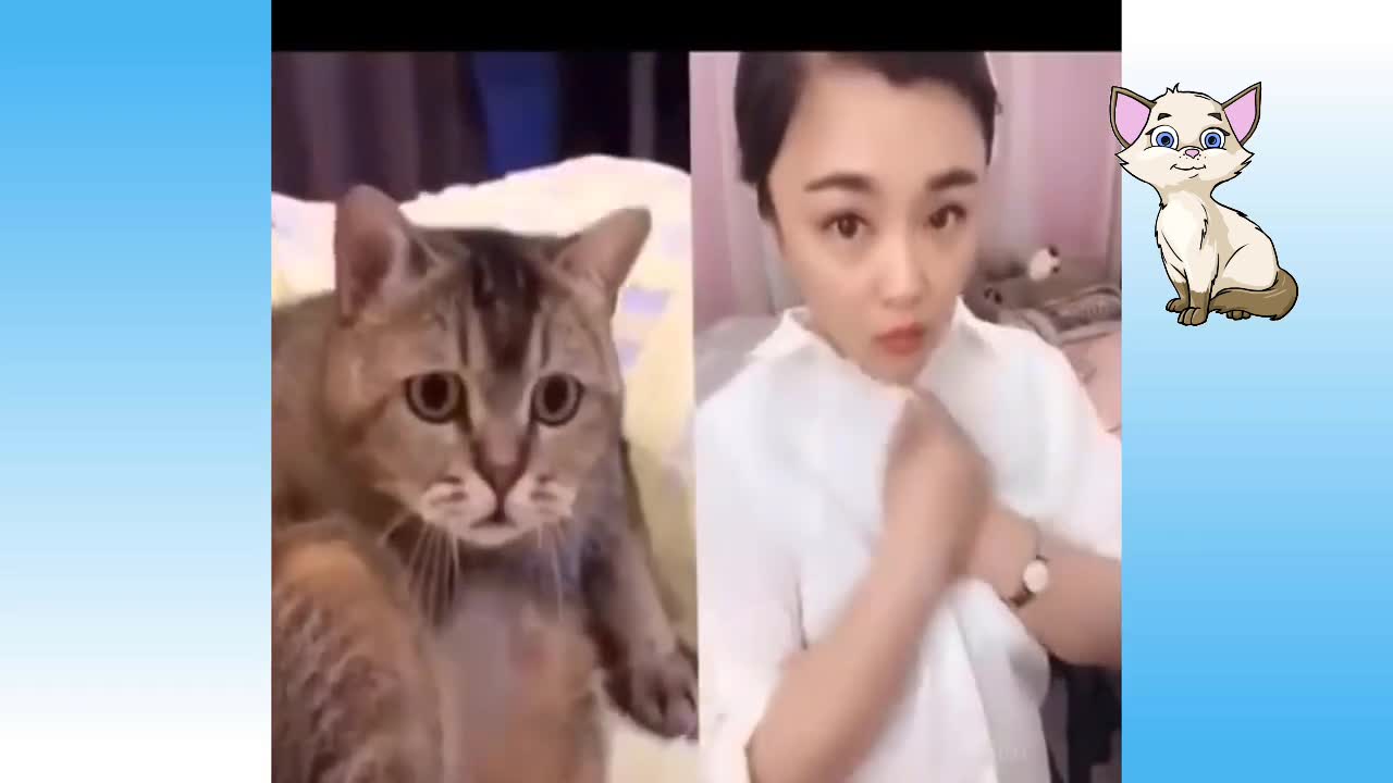 Very Very Funny Cats Video Compilation,😆🐱
