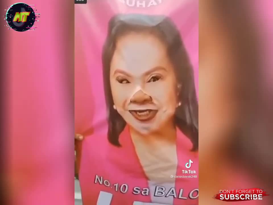 funny videos