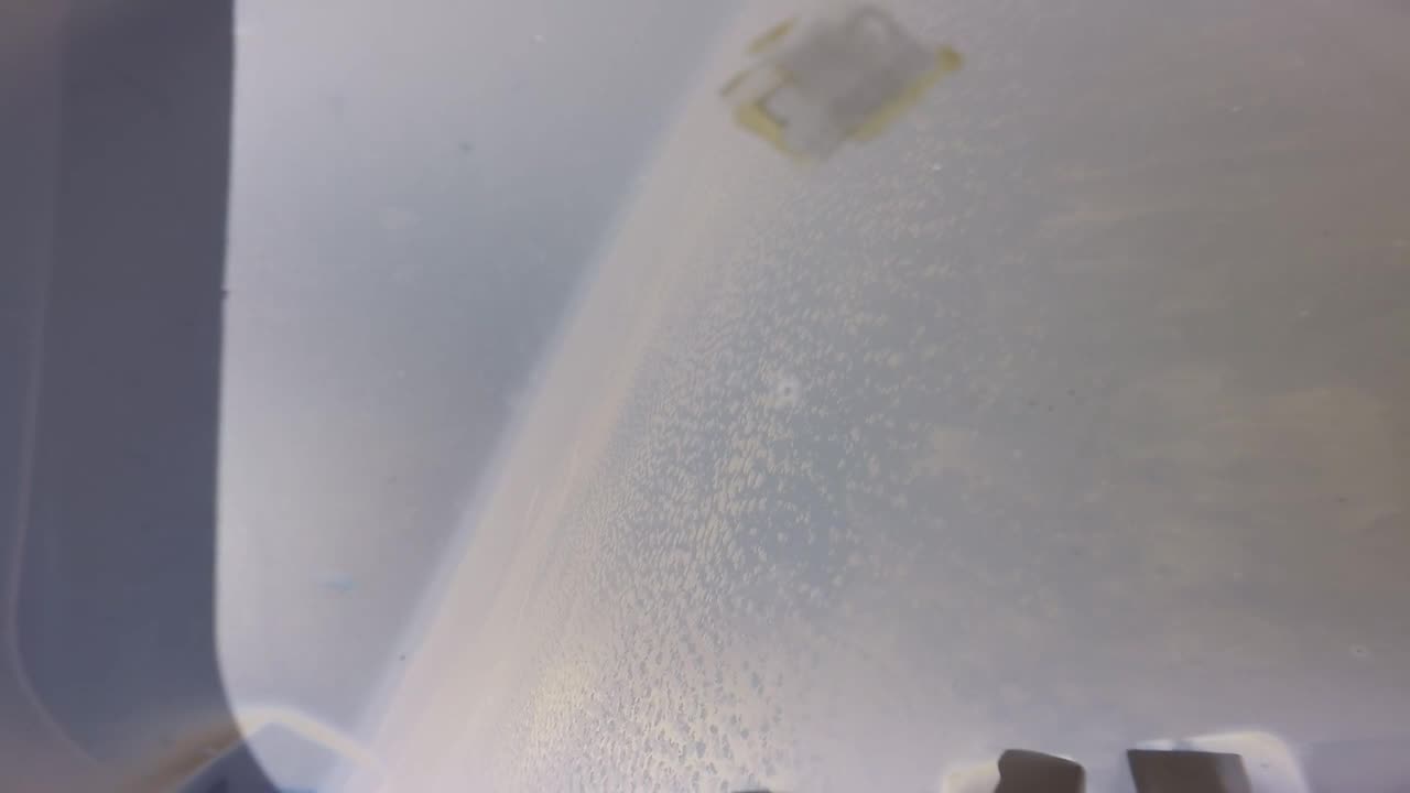 Reentry video as Orion returns from Artemis I