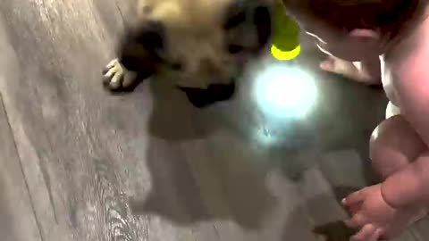 Child and dog
