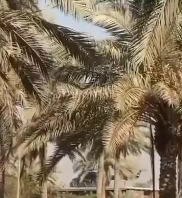 Iraq Descends Into Chaos, U.S. Embassy Evacuated By Helicopter One Year After Afghanistan Debacle