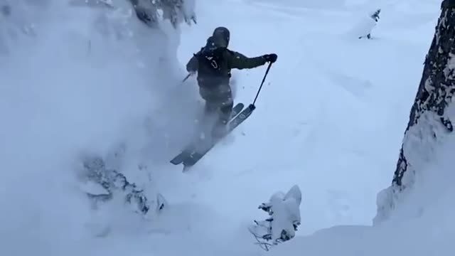 Slow-mo. Tree tap. Deep pow. Captured in Jan by