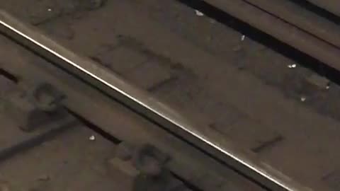 Subway Rats in a Mexican Standoff