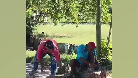 PEGADINHA DE CRUSTÁCEO GIGANTE