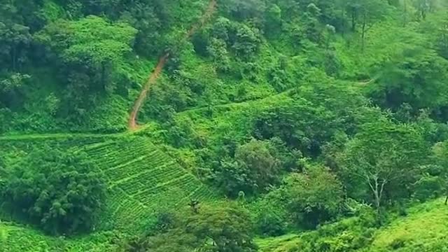 Nature of Sri Lanka