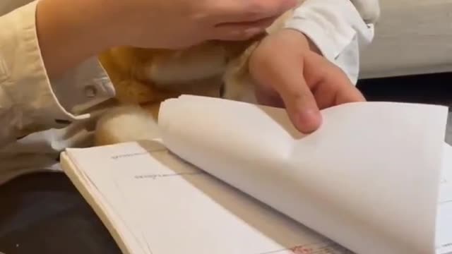dog reading with owner