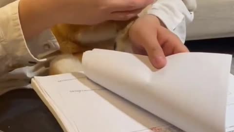 dog reading with owner