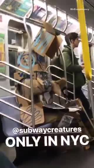 Cardboard box man sits on subway train