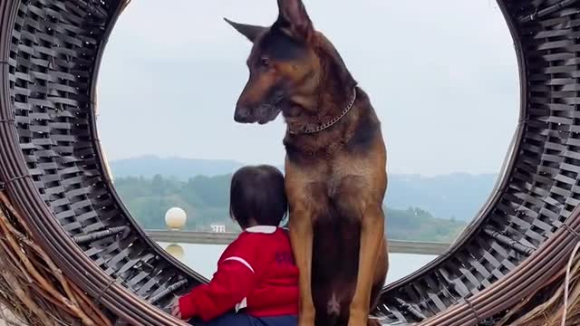 Dog and kid