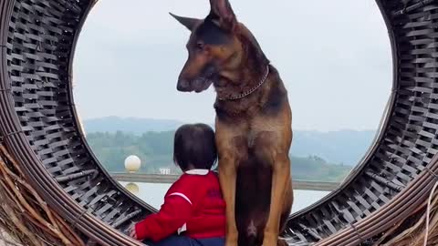 Dog and kid