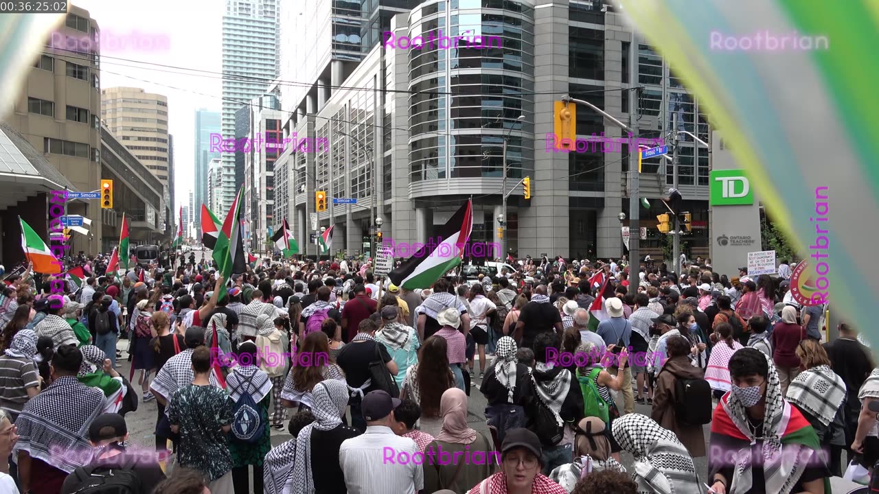 All Out For Gaza - Toronto - Sankofa (formally yonge-dundas) Square (electro-acoustic)