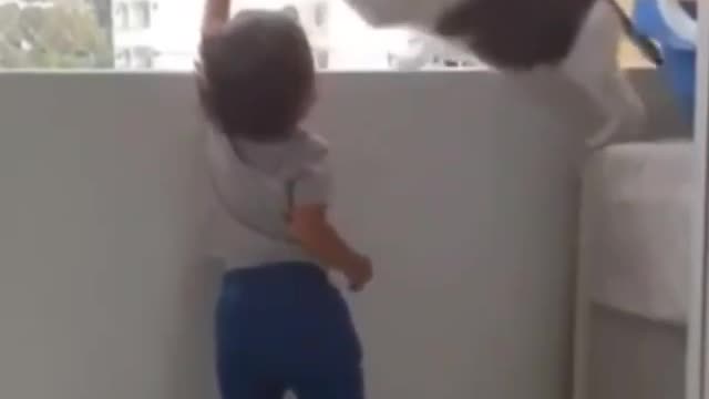 A very Caring '' Cat '' does not let '' Toddler '' climb that rail .
