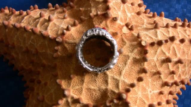 Starfish ring, hadmade in pure silver and red coral