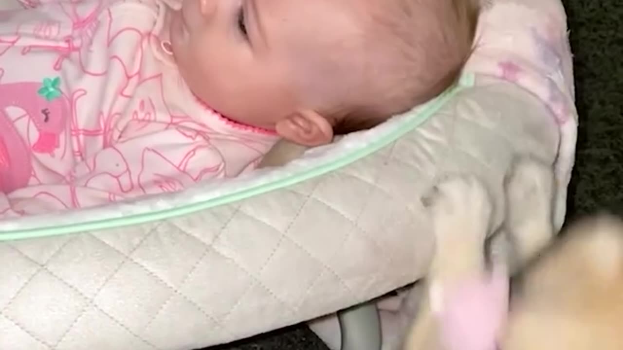 This Toddler Has The Cutest Reaction 😍