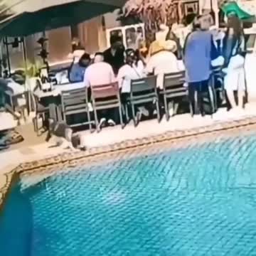 Alien dog among us / paranormal activities