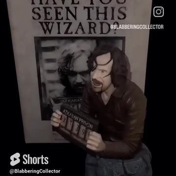 Comparing My Two Harry Potter Gentle Giant Busts: Sirius Black SDCC Vs Normal #harrypotter #sirius