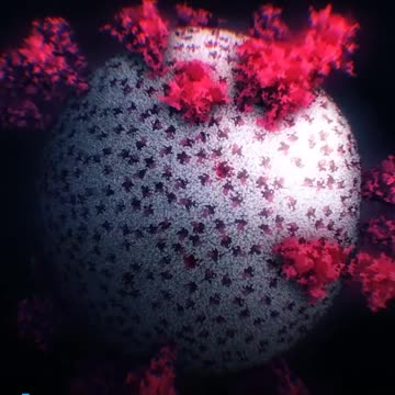 [Video] El rostro del mal:así luce el coronavirus en primera foto 3D